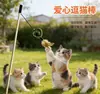 Caña de Juguete para Gatos para Juego Interactivo, Juguete de Madera para Gatos de Entretenimiento Propio con Plumas, Arpillera, Varilla de Madera, Hierba Gatuna y Diseño de Carpa