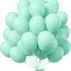 Set de Globos de Color Sólido Transfronterizo de 12 Pulgadas 20 Piezas Paquete de Decoración de Cumpleaños Cadena de Globos para Fiesta de Vacaciones al por Mayor Boda