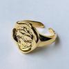 Anillo Abierto de Cadena Creativo Europeo y Americano Ins Estilo Frío Normcore Moda Anillo Versátil para Mujeres de Moda