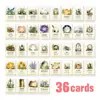 Sourcing Direto Transfronteiriço 36 Cartas de Cognição Emocional Autoconsciência Exploração de Humor Cena de Cura Atmosfera Cartas Visuais