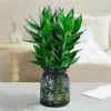 Bambu Guanyin, Bambu Rico, Plantas Hidropônicas com Raízes, Florais e Plantas Verdes, Bambu de Vaso para Interior, Cultivado em Água, Fácil de Manter, Repelente de Mosquitos Sala de Estar