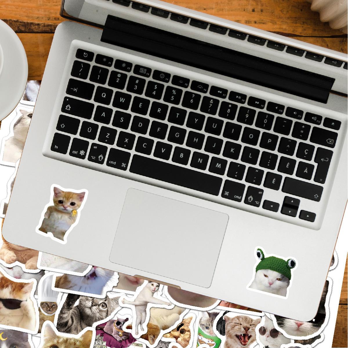 20230904-猫猫表情包贴纸效果图-05 修改