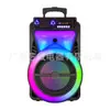 Gy-1209 Venta al por mayor de fábrica Altavoz grande individual de 12 pulgadas Audio Bluetooth 40W Alta potencia Altavoz con micrófono inalámbrico