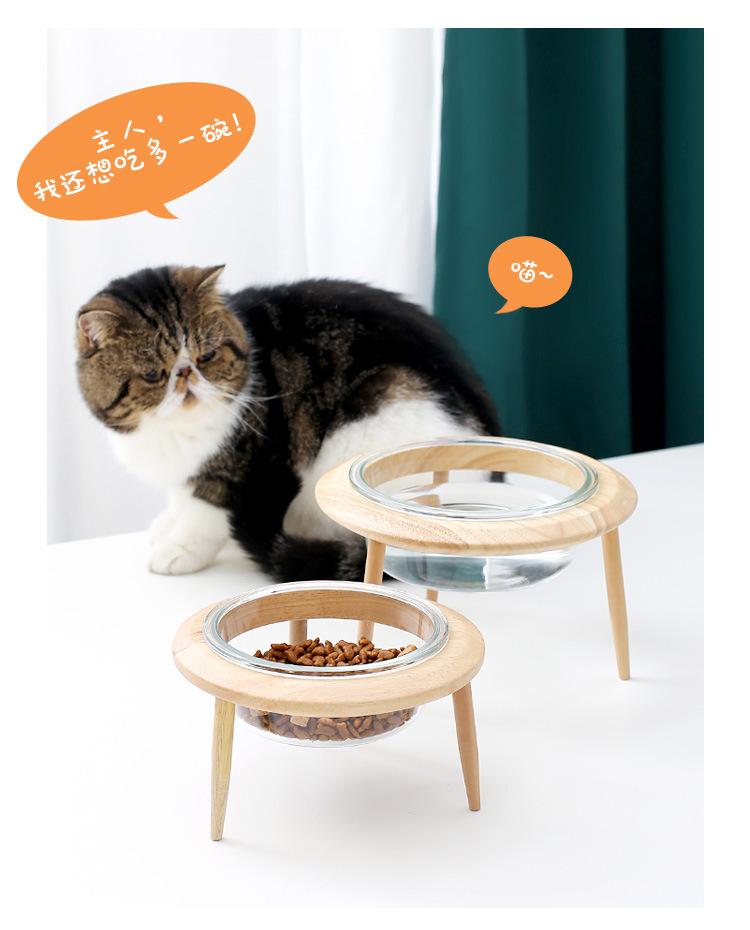 玻璃飞碟猫碗_12.jpg