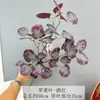 Flores Artificiales, Hojas de Eucalipto, Hojas de Manzana, Arreglos Florales para Salón de Bodas, Decoración de Paisajismo, Flores Artificiales Anti-Real para el Hogar Transfronterizo
