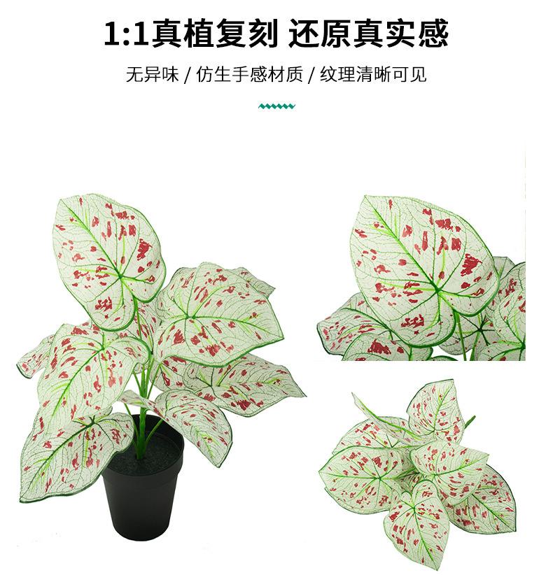 细节6