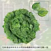Folhas de Rattan Artificiais, Folhas de Planta Verde Artificiais, Folhas de Jiboia, Folhas de Uva, Decorações de Plantas Verdes Artificiais em Vasos, Folhas Artificiais