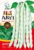 Fabricantes de origen venta al por mayor semillas de hortalizas, primavera, verano y otoño, cuatro estaciones, frutas, frutas, semillas, semillas, colza, semillas, semillas