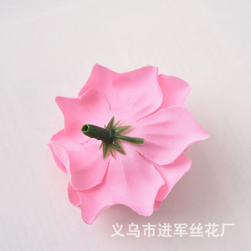 QSD_7411.JPG