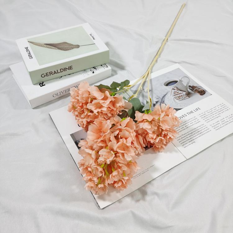 IMG_20220224_153008_副本