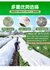 Manta de Protección contra Heladas para Plantas, Tela a Prueba de Frío Cortable, Manta Protectora, Cubierta de Nieve para Jardín, Cubierta de Aislamiento, Cubierta para Plantas de Vegetales de Amazon