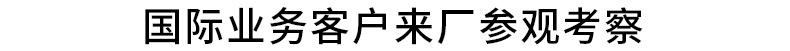 凡蒂洛彩灯2_13