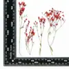 Xiacao Espécimen de Planta en Relieve Goteo de Gel Carcasa para Teléfono Móvil diy Material de Marco de Fotos Flores Secas en Relieve Flores Reales Maquillaje de Novia