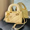 Bolsos de moda transfronterizos para mujer en 2026: nueva colección de otoño, bolsos de hombro sencillos, bandoleras para el trabajo y bolsos estilo Diana