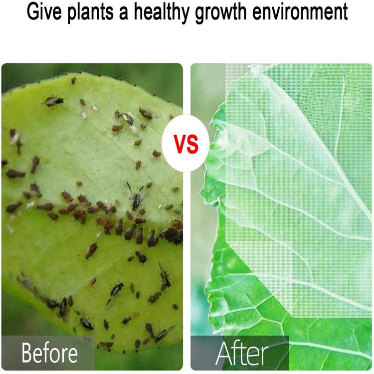 71PiNC3BFjL._AC_SL1196_