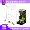 Caja de Cría Acrílica Transparente para Reptiles, Geckos, Lagartos, Arañas, Cangrejos, Insectos, Serpientes Mascota, Caja de Observación de Escritorio para Paisajismo