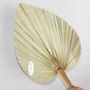 Hojas de Abanico de Tule Eternas Abanico de Tule Multicolor Hojas de Palmera de Tule Flores Secas Decoración Exhibición de Boda Arreglo Hojas de Abanico de Tule Eternas
