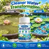 KineShineX Pastilhas Purificadoras de Água para Tanque de Lírio d'Água 100 Pastilhas Tanque de Peixes Pequeno Vaso de Lótus Pastilhas Purificadoras e Desodorizantes para Qualidade da Água