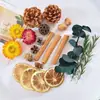 Fruta Fixa Natural Planta Fruta Casca Espécime Material Decoração Flores Secas Fatias Jardim de Infância DIY Pacote de Material de Natal