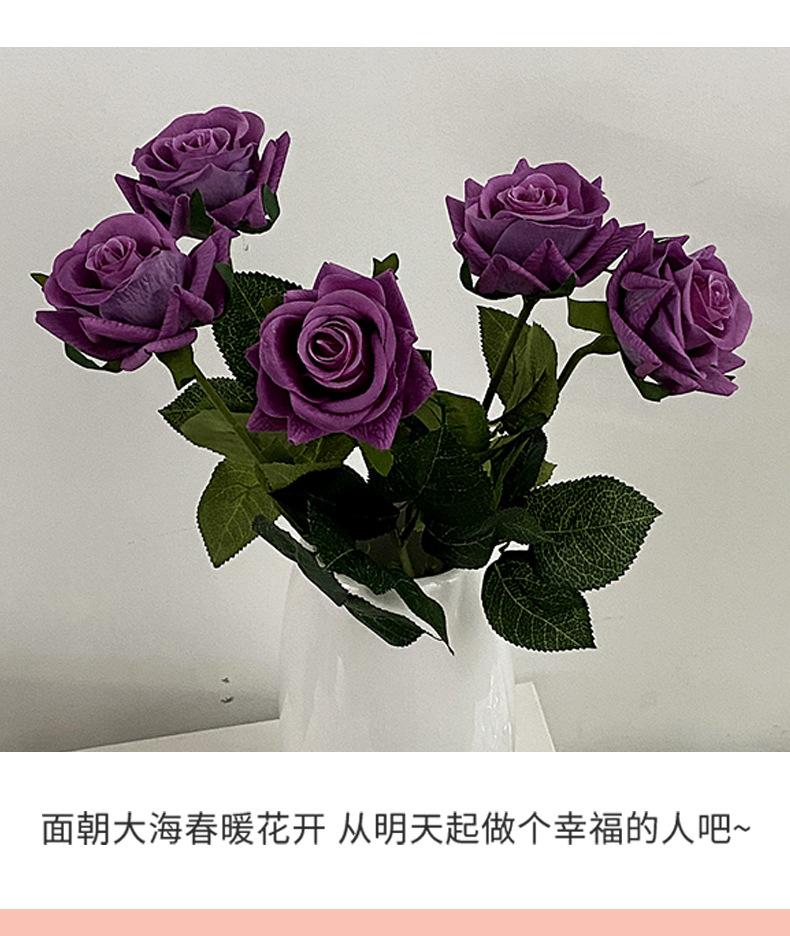 保湿玫瑰_09.jpg