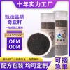 Substituto de Refeição Instantâneo de Semente de Chia Pequenos Grânulos Enche e Nutritivo Café da Manhã Preparo sem Enxágue Fabricante Fonte Atacado Substituição Nutricional de Refeição