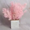 Flor eterna esponjosa ramo de flores secas de Yunnan accesorios de fotografía literaria ins decoración material de flor DIY venta al por mayor de flor seca