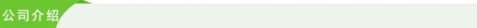 公司介绍