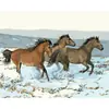 Dropshipping Transfronterizo Pintura al Óleo Digital al por Mayor Pinturas sin Marco 40X50 Amazon Wish Fábrica de Pintura Vestíbulo Ozon Caballo