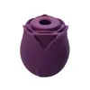 Vibrador de caballero sarga palo de masaje vibrador bala recargable vibrador de onda Messenger dispositivo de masturbación femenina