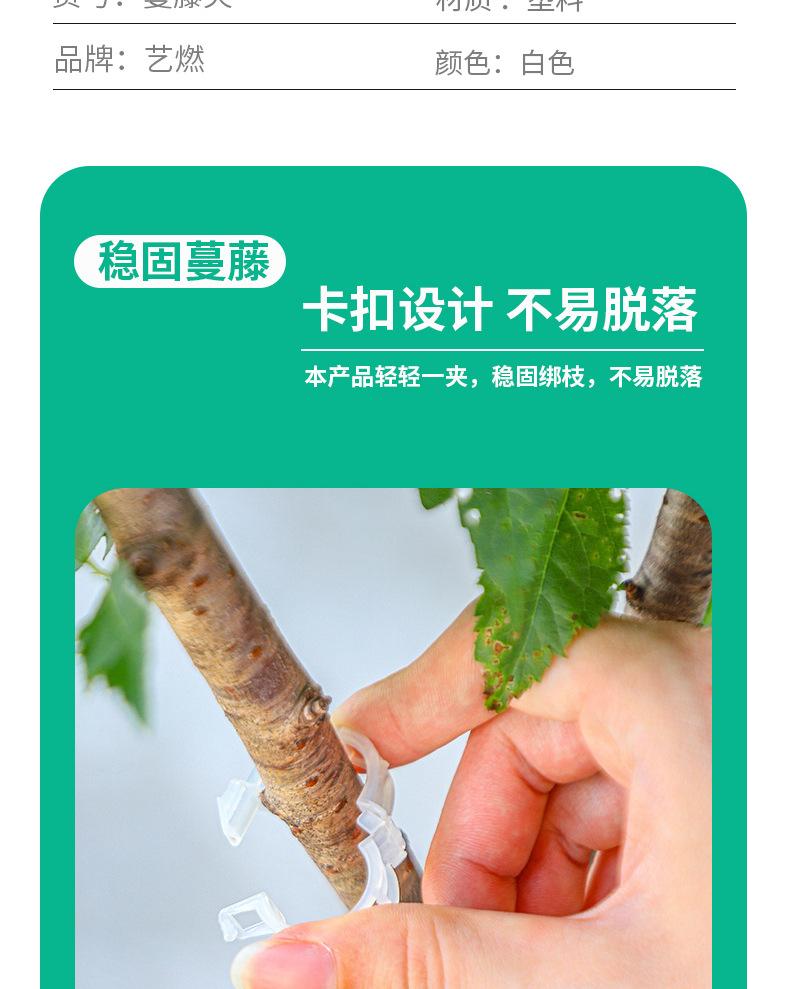 艺燃（详情）_03.jpg