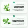 Shampoo Zhizhang Artemisia Annua para Cuidados com o Couro Cabeludo Anticaspa, para Limpeza e Volume dos Cabelos, Adequado para Estudantes que Ficam Acordados até Tarde e Têm Queda de Cabelo