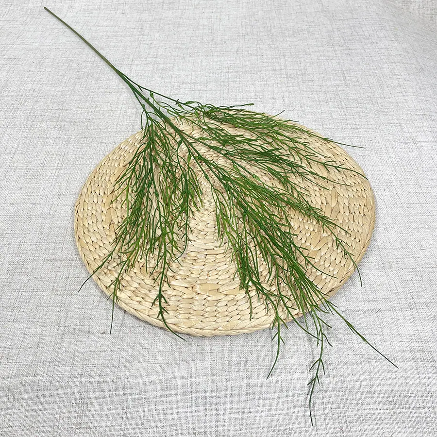 4# 东三 喷色芦荀草 2.5元 3000支.JPG