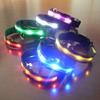 Pronta Entrega Coleira Luminosa de LED Nylon Cinto para Animais de Estimação Coleira para Cães Suprimentos para Animais de Estimação Ponto de Luz Guia para Cães