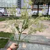 Fabricante de Flores Artificiales para Bodas Verdes Hortensia Verde Rosa Rocío de Golondrina Loto Bola de Cebolla Decoración Suave para Bodas Flor Artificial al por Mayor
