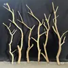 Galhos de Madeira Natural, Troncos de Árvore, Materiais DIY para Suporte de Lâmpada, Enfeites Decorativos, Arame de Ferro Artístico para Paisagismo de Galhos e Troncos de Árvore
