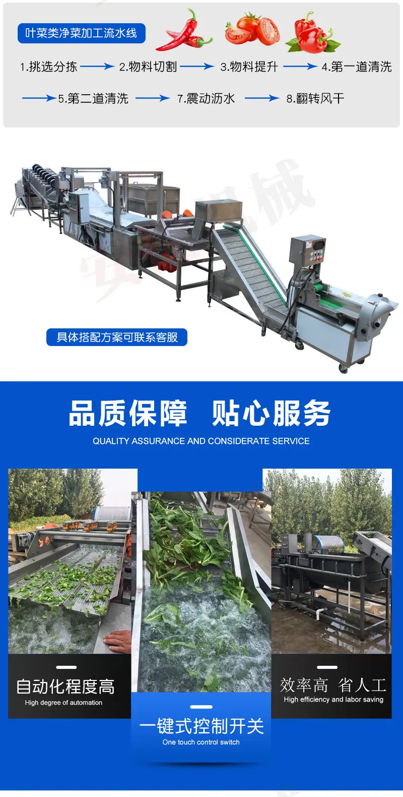 净菜加工流水线_02.jpg