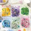 Serie de Flores Simples para Plantas Estudiante Sal Pegatina Decorativa para Collage de Diario de Mano Pegatina Decorativa para Diario de Mano Impermeable PET Flor