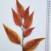 Fábrica atacado simulação folhas sete garfo simulação tela de seda folha primavera acessórios decorativos para flores folhas de eucalipto