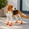 Zapatos para perros cuidadosamente seleccionados para Teddy, Pomerania y perros pequeños, zapatillas deportivas de suela blanda, transpirables, suaves, fáciles de poner, antideslizantes, de malla