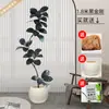 Planta Artificial Verde Grande Black Diamond Árbol de Goma Planta en Maceta de Interior para Sala de Estar Decoración de Planta de Árbol Imitación de Lujo Ligero de Gama Alta