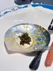 Plato Creativo de Caviar Occidental Cocina Molecular Japonesa Asimétrico Francés Concha Natural Plato de Caviar