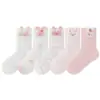 Calcetines Nuevos de Primavera y Verano para Niños, Delgados y Transpirables, Anti-Pilling, Calcetines de Malla de Moda para Niños y Niñas, de Caña Media, Clase A, Algodón Sin Costuras