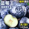 Arándanos Frescos, Fruta Premium de Temporada, Arándanos de Yunnan, Recién Recolectados, Fruta Extra Grande, Fruta para Mujeres Embarazadas, Caja Completa, Sf Express