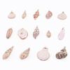Colgante de Concha de Caracol Natural DIY Materiales de Galvanoplastia Aretes Hechos a Mano Carrillones de Viento Adornos Colgantes Colgantes Creativos Hechos a Mano