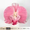 Tocado de Cabeza Artificial de Flor de Orquídea Phalaenopsis, Pinza para el Cabello Famosa en Internet, Adorno para la Cabeza, Recuerdo, Adecuado para Decoración de Bodas, Adorno de Muebles, Flor Artificial