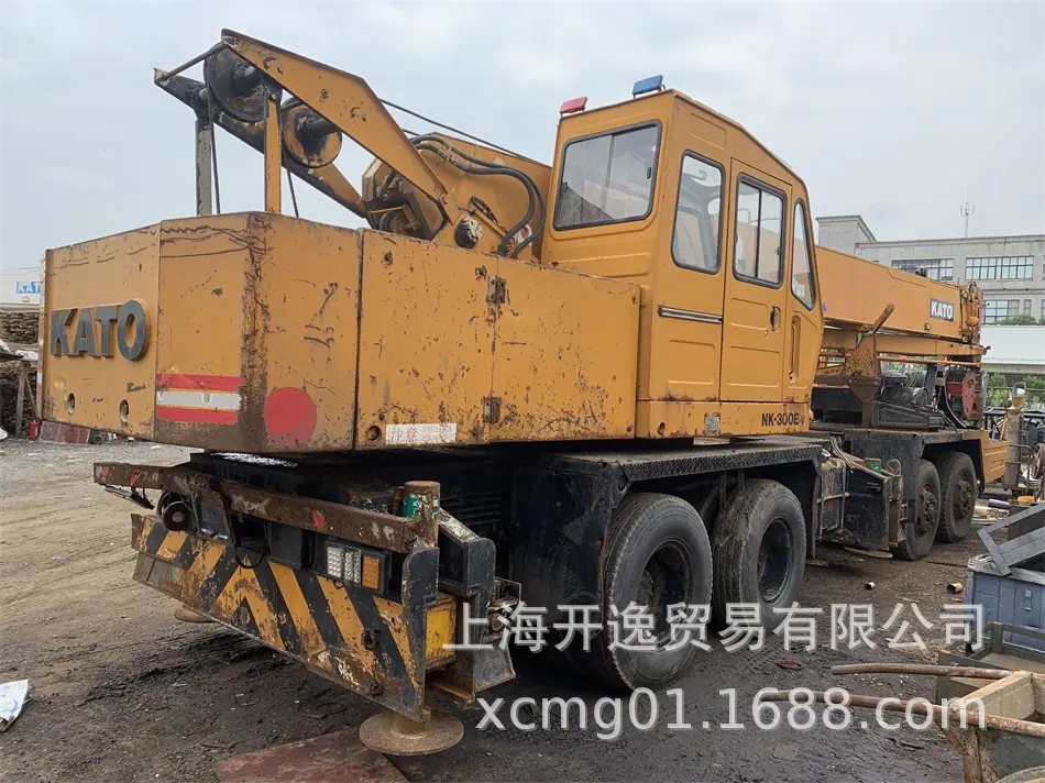 30t crane (10)