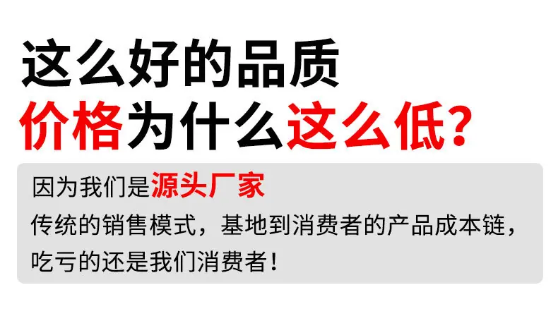 网带烘干机_02.jpg