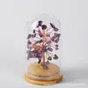 Enfeites de Árvore de Cristal Natural, Árvore da Fortuna de Citrino, Garrafa dos Desejos, Árvore da Vida, Pequenos Enfeites Versáteis para Decoração de Casa