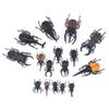 Modelo de insecto de simulación transfronterizo escarabajo sólido unicornio insecto hada animal pequeño modelo para niños juguetes al por mayor