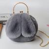 Fabricante Directo al Por Mayor Bolso con Orejas de Conejo Bolso Bandolera Bolso de Clip Cruzado Otoño e Invierno Bolso de Cadena